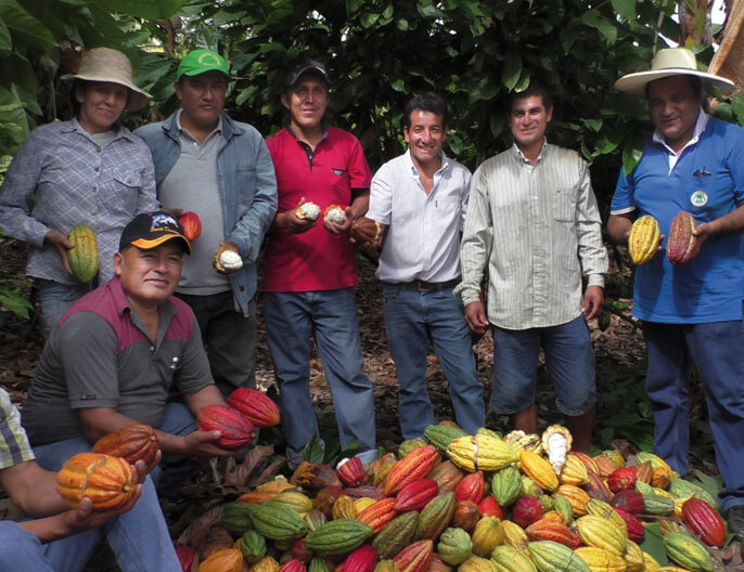 Producteurs cacao pÃ©ruviens noir 70% Grand cru Amazonas